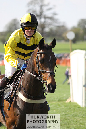 Bedale Point to Point 035