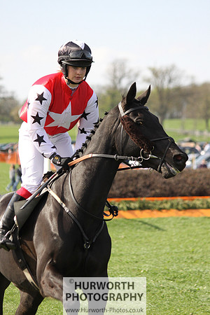Bedale Point to Point 037