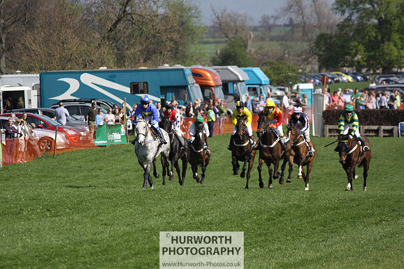 Bedale Point to Point 038