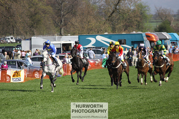 Bedale Point to Point 040