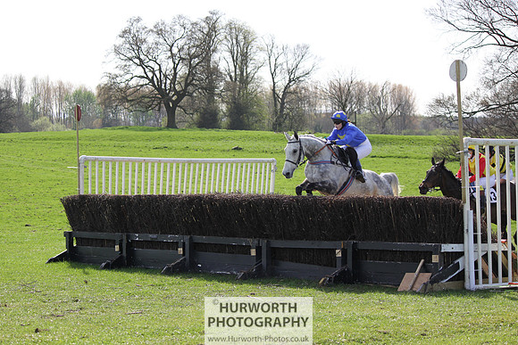Bedale Point to Point 057