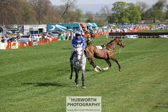 Bedale Point to Point 067