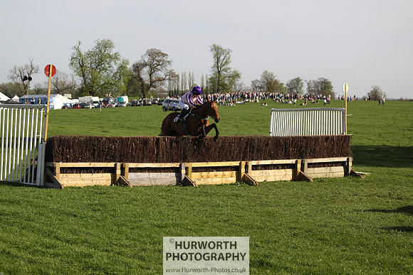 Bedale Point to Point 013