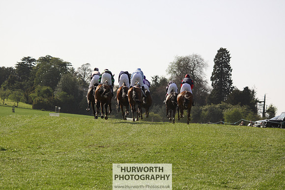 Bedale Point to Point 017