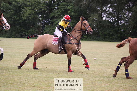 Toulston Polo 231