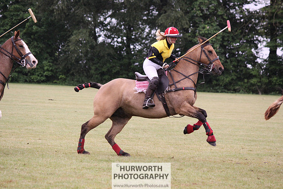 Toulston Polo 233