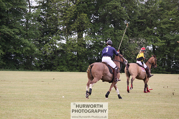 Toulston Polo 236