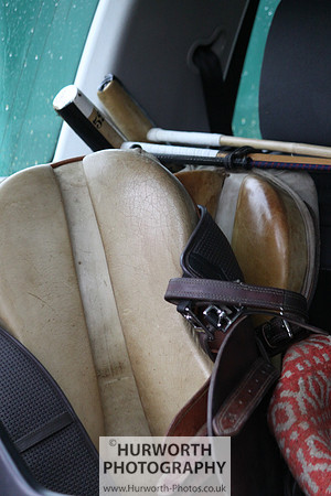 Toulston Polo 246
