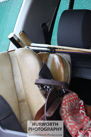 Toulston Polo 247