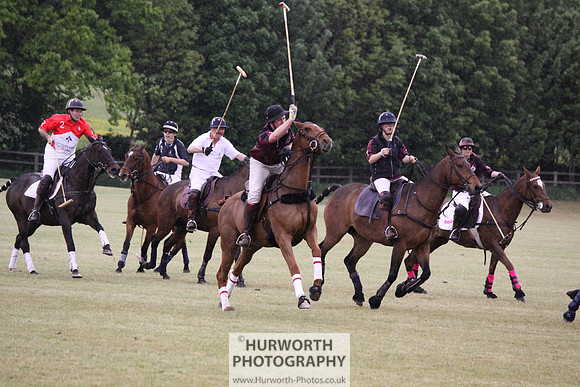 Toulston Polo 256