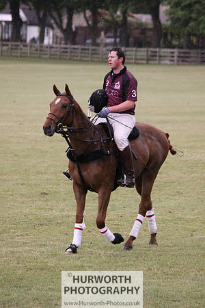 Toulston Polo 260