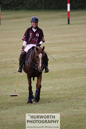 Toulston Polo 261