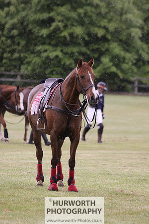 Toulston Polo 266