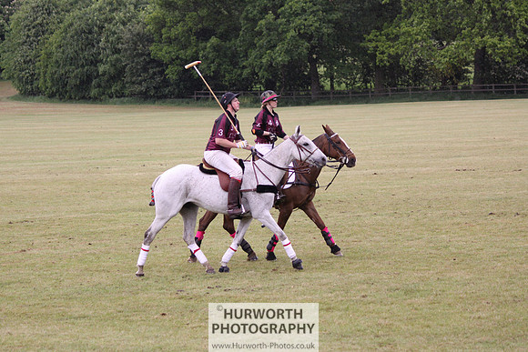 Toulston Polo 273