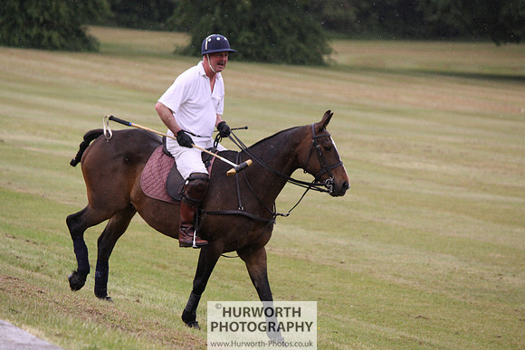 Toulston Polo 275