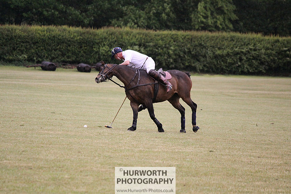 Toulston Polo 295