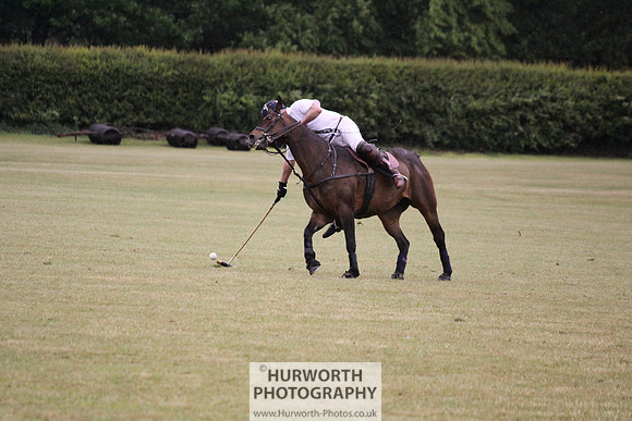 Toulston Polo 296