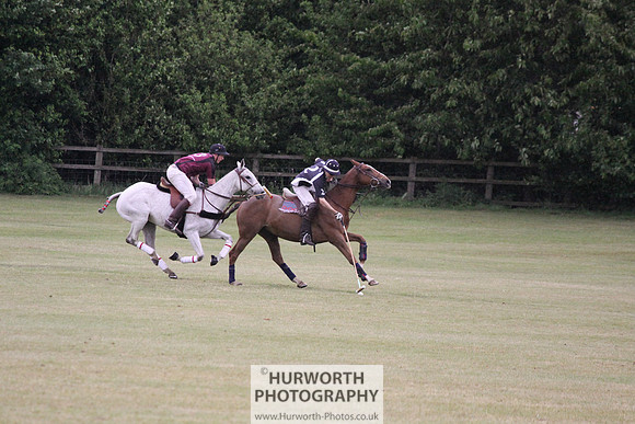 Toulston Polo 297