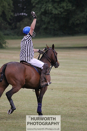 Toulston Polo 301