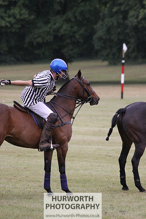 Toulston Polo 303