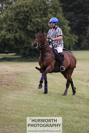 Toulston Polo 318