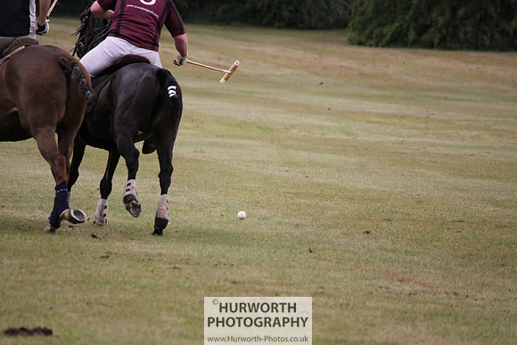 Toulston Polo 323