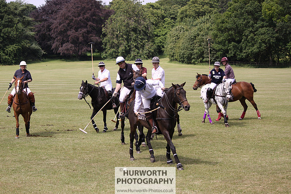Toulston Polo 014