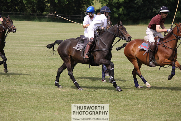 Toulston Polo 019