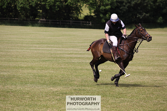 Toulston Polo 020
