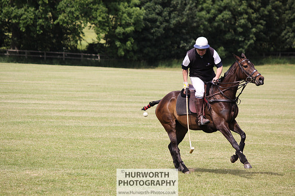 Toulston Polo 021