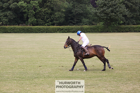 Toulston Polo 023