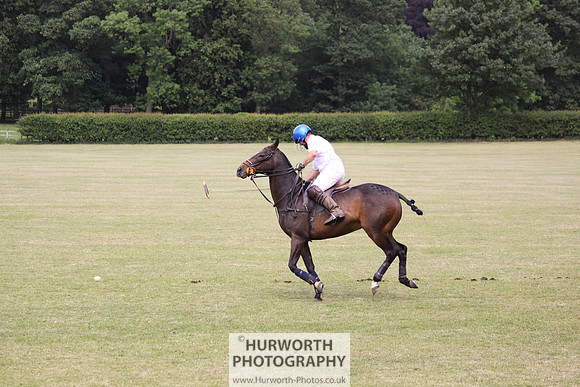 Toulston Polo 024