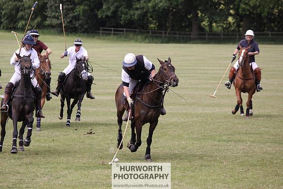 Toulston Polo 027