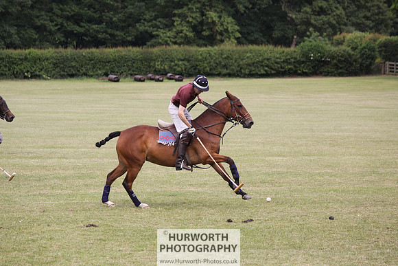 Toulston Polo 028