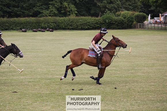 Toulston Polo 029