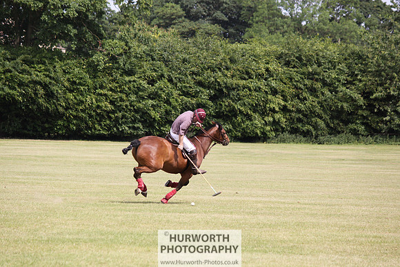 Toulston Polo 030