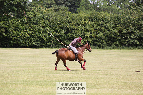 Toulston Polo 031