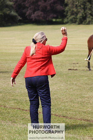 Toulston Polo 032
