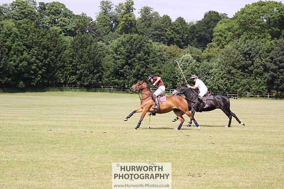 Toulston Polo 033