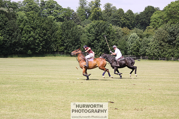 Toulston Polo 034