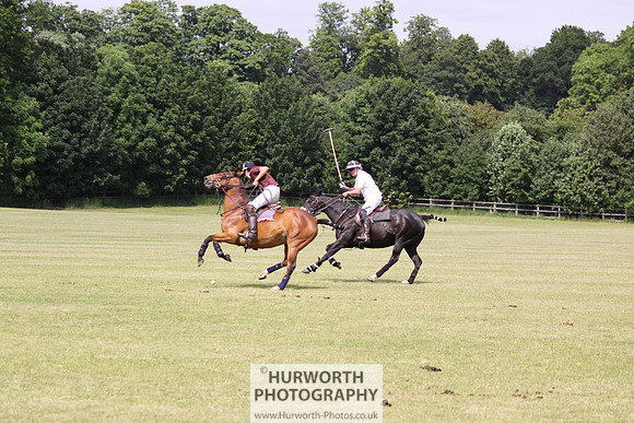 Toulston Polo 035