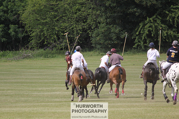 Toulston Polo 037