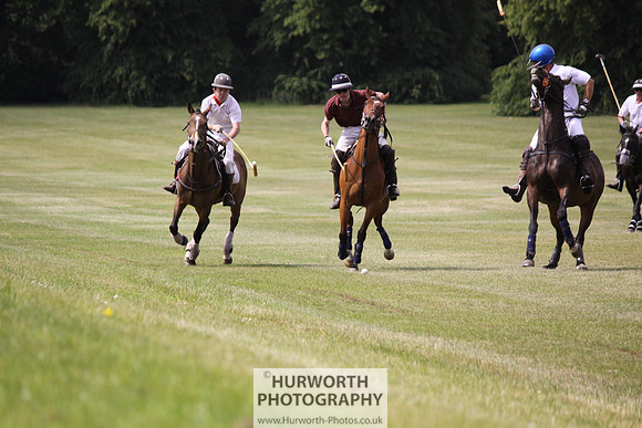 Toulston Polo 041