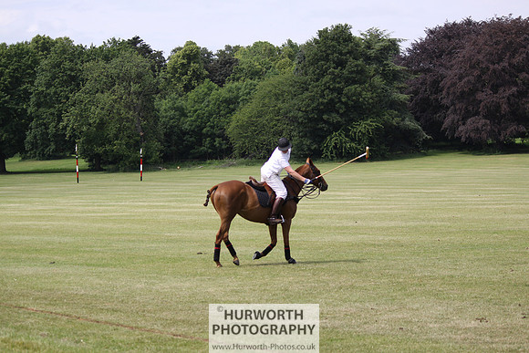 Toulston Polo 046