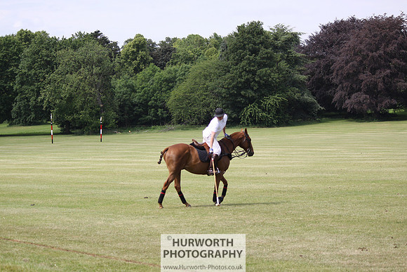 Toulston Polo 047