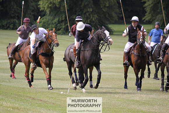 Toulston Polo 049