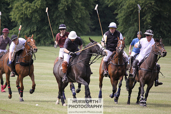 Toulston Polo 050