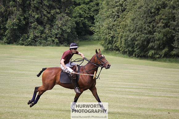 Toulston Polo 051