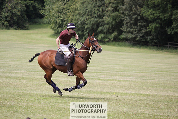 Toulston Polo 052