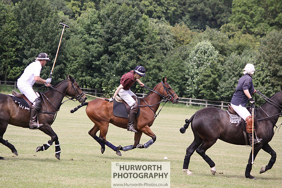 Toulston Polo 053